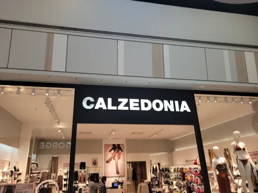 Entretien du système de climatisation de la boutique Calzedonia Nîmes Cap Costière, Nîmes, THERMACOLD